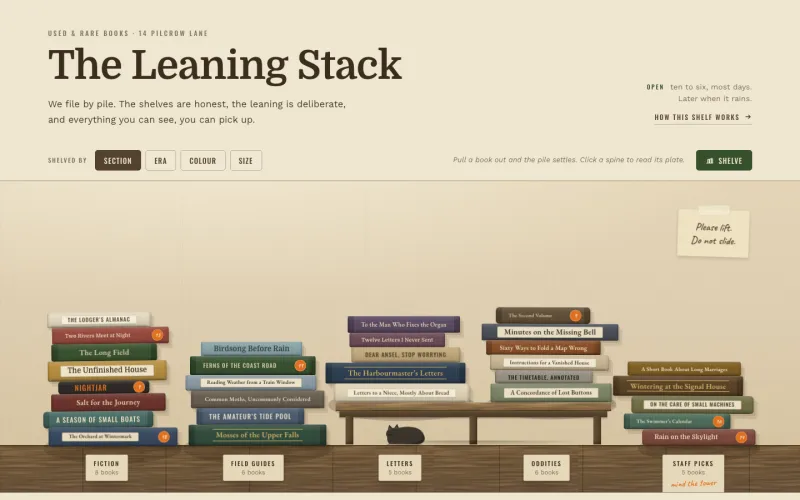 Screenshot of The Leaning Stack: piles of painted book spines leaning on a timber shelf