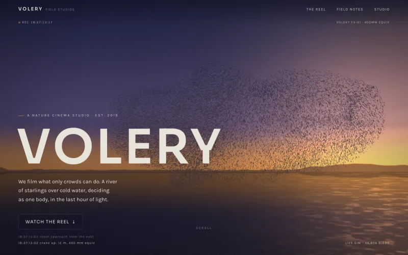 Screenshot of Volery Field Studios: a murmuration massing over dusk water